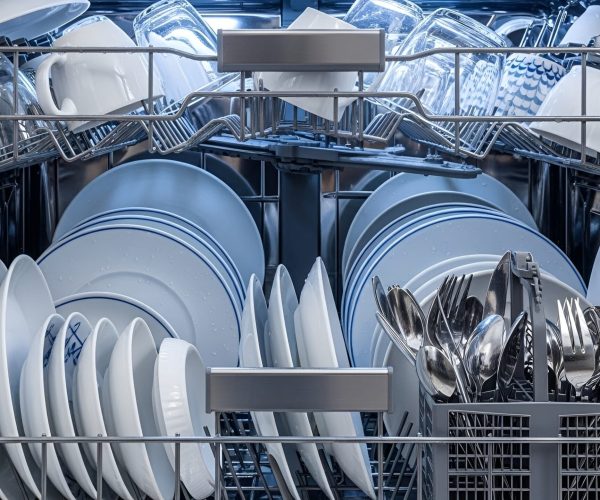 Dishwasher Repair Services